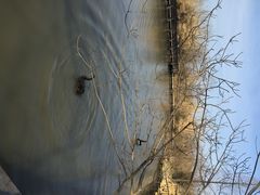 iphone_upload_pic-溱湖国家湿地公园