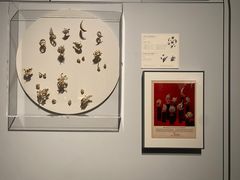 -清华大学艺术博物馆