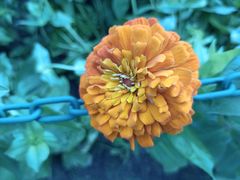 -大宁郁金香公园-停车场