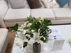 -HEYAN荷妍专业脱毛连锁机构