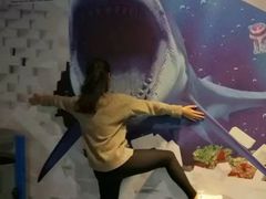 -烟台海昌鲸鲨海洋公园