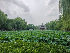 -莲池书院博物馆
