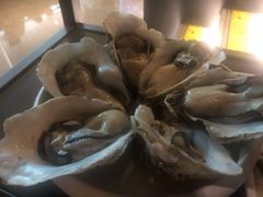 湛江大生蚝-淘米捞·米汤脆鲩鱼火锅(福田皇岗店)