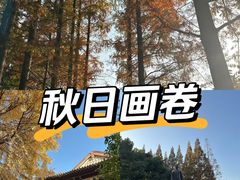 -郑和公园