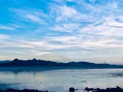 -深圳湾公园(南山区)