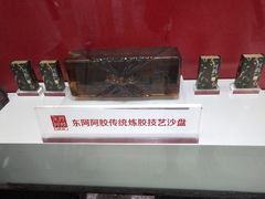 -上海市第一医药商店(南京东路店)