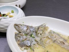 -骏莱海鲜鱼港(五角场店)