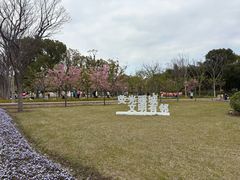 -新江湾城公园