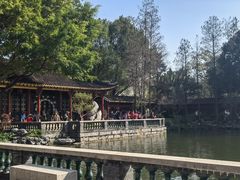 -顺峰山公园