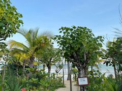 -三亚海棠湾喜来登度假酒店