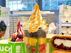 -Salud撒露欧洲冻酸奶(五道口购物中心店)