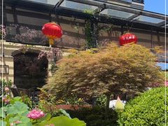 -荷风细雨·中国茶宴(碧云店)