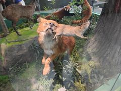 -国家自然博物馆