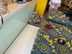 -平行世界·猫咖(首经贸店)