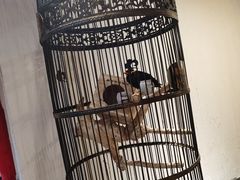 -清真·京华源铜锅涮肉(丰庆店)