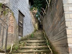 -南山植物园