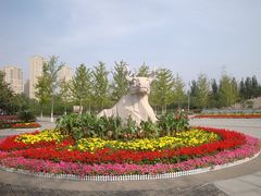 -永定河休闲森林公园