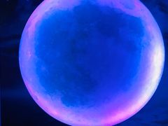 -天津梵高星空艺术馆(天河城旗舰店)