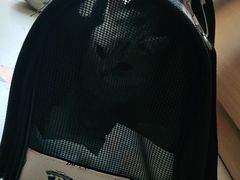 -宠福鑫康馨动物医院·骨科·眼科
