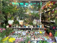 -溪岸路花鸟市场