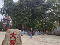 -大槐树寻根祭祖园
