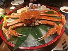 活蒸松叶蟹-千代武日本料理(哈西店)
