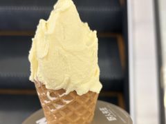 -野人先生现做冰淇淋(北京王府井东方新天地店)