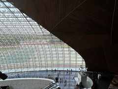 -国家大剧院