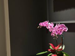 -炳胜公馆(珠江新城店)