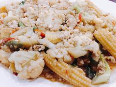 -绿光森林餐厅
