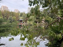 -水绘园