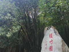 -潜山国家森林公园