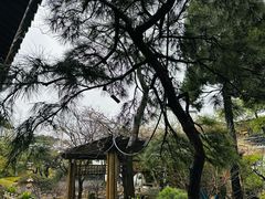 -龙华寺