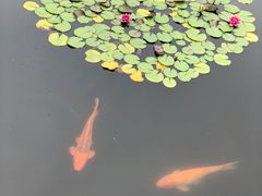 -南戴河国际娱乐中心