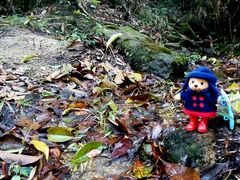 android_upload_pic-广州市石门国家森林公园
