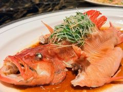 -茉里观邸(民国洋楼店)