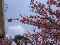 -漕溪路(地铁站)