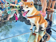 -十渡东湖港风景区