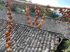 -杨家堂村