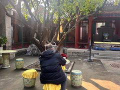 -宫事颐庭·老佛爷贵寿下午茶(颐和园店)