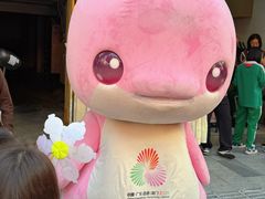 -越秀西湖花市(广州城市广场花卉店)