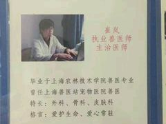 -申普宠物医院·心脏介入·心血管微创(总院)