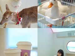 -怪兽屋·羊驼·猫咖·狗咖(俊华广场店)