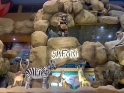 -卡通尼·Safari非洲探索乐园·生日会(金桥国际商业广场店)