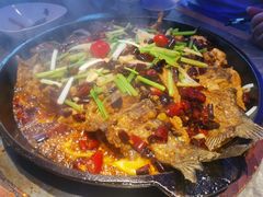 -老板恋上鱼(恒隆广场店)