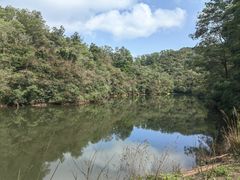 -深圳仙湖植物园