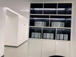 -处女座·MISS VIRGO·半永久纹眉野生眉