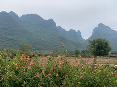 -村上春树