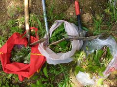 -东天目山风景区