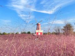 -羊亭河湿地公园